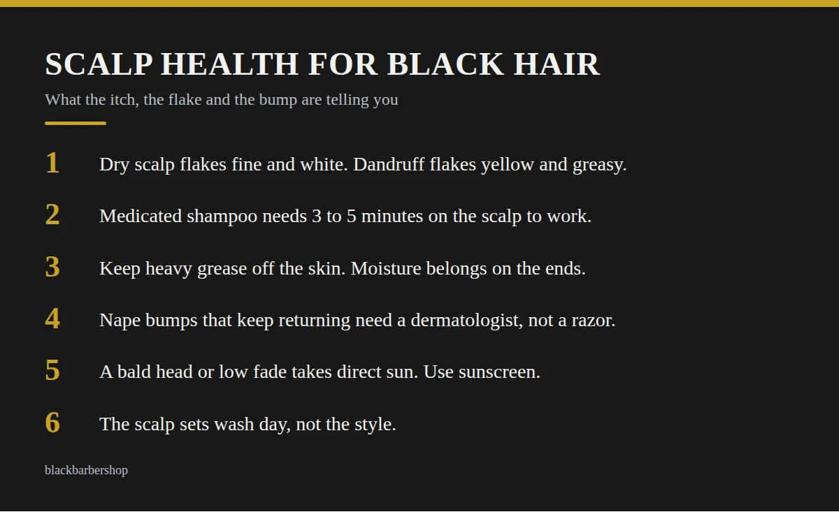 Summary card: Scalp Health for Black Hair