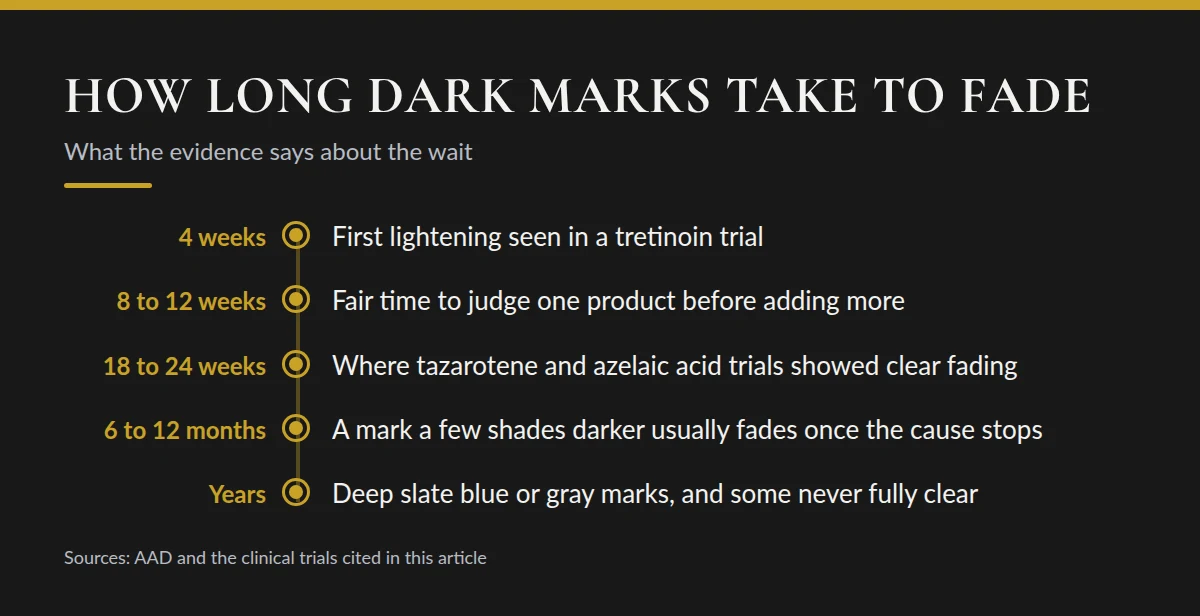 Summary card: How Long Dark Marks Take to Fade