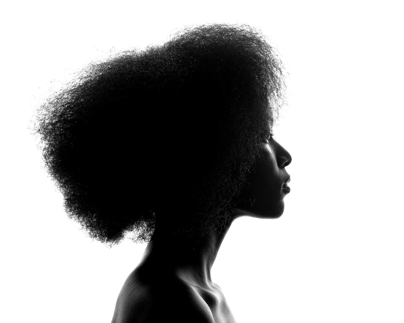 Profile silhouette of a Black woman with natural curly hair, the kind of low-tension styling that gives stressed follicles a chance to recover.